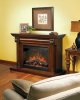  Dimplex Heritage Leaf PURIFIRE